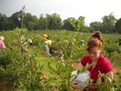 Pick your own produce farms around canton oh